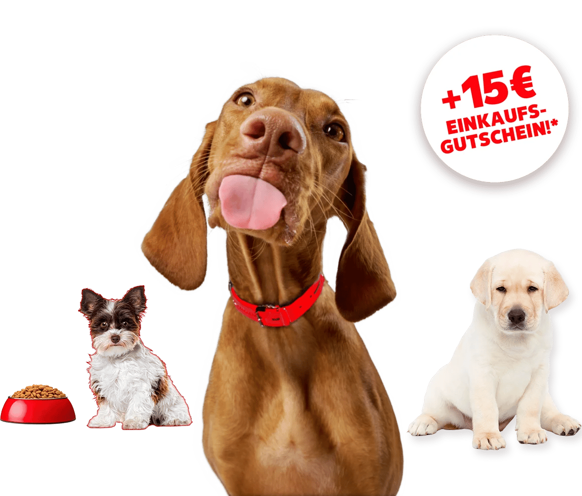 Kaufland Hundekrankenversicherung inkl. OP-Schutz mit 15€ Einkaufsgutschein