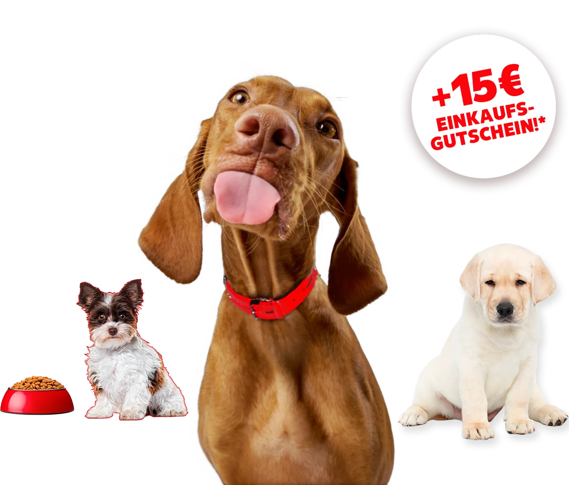 Kaufland Hundekrankenversicherung inkl. OP-Schutz mit 15€ Einkaufsgutschein