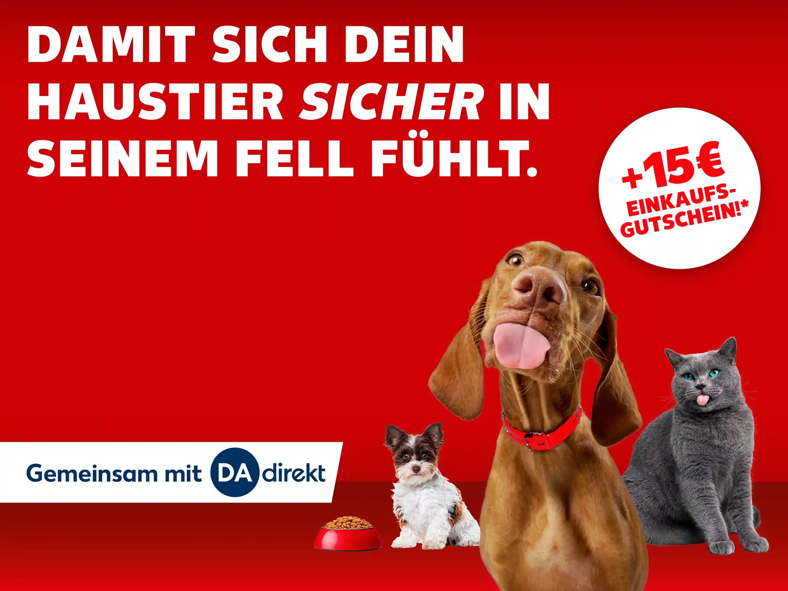 Tierkrankenversicherung. Zwei Hunde und eine Katze vor rotem Hintergrund