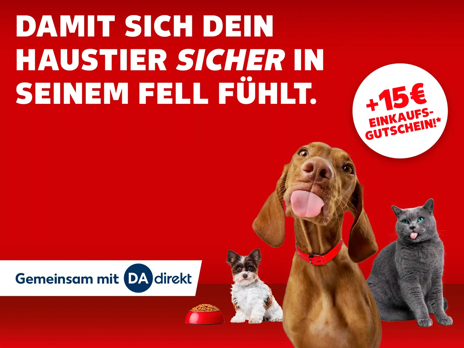 Tierkrankenversicherung. Zwei Hunde und eine Katze vor rotem Hintergrund