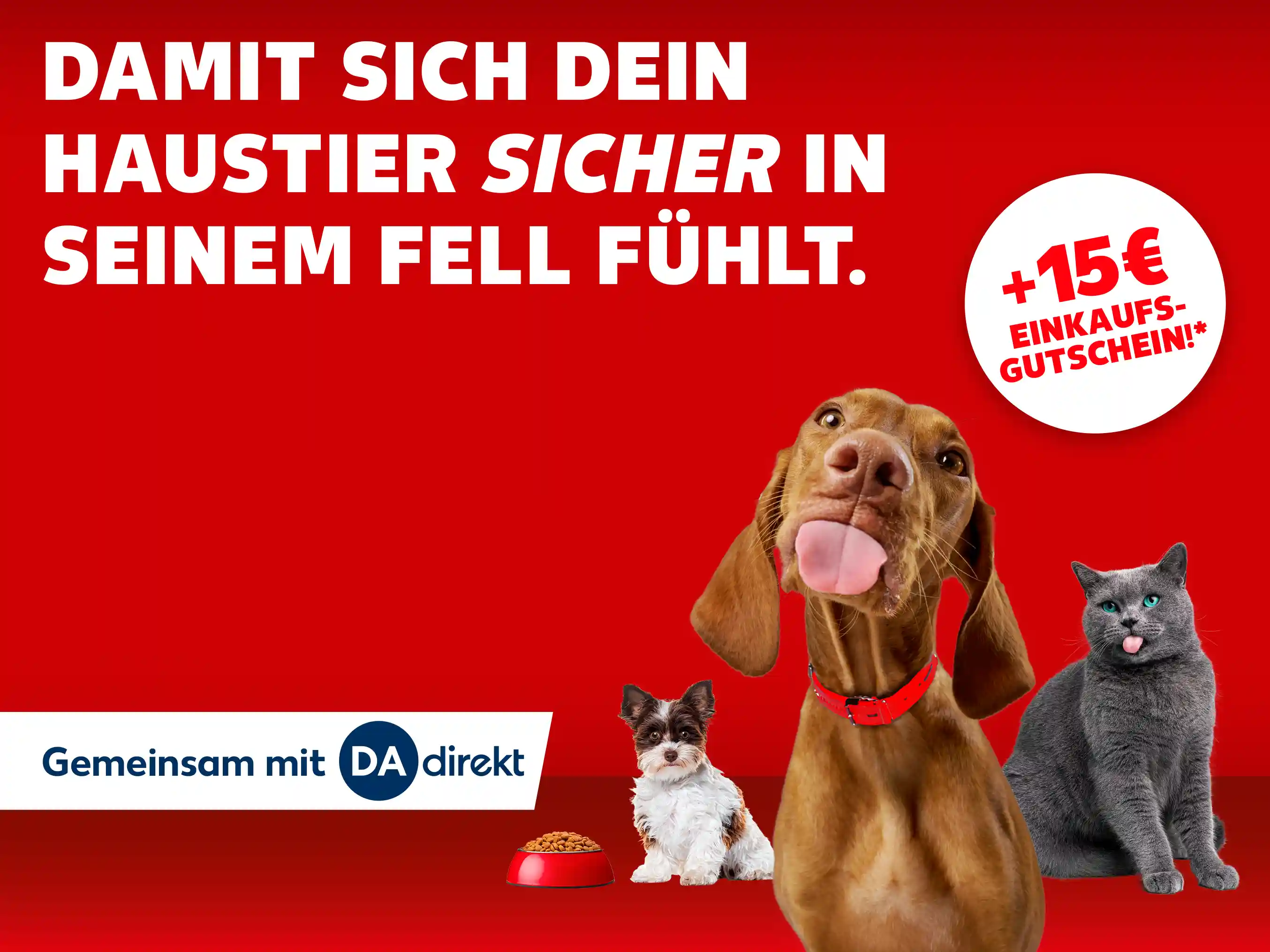 Tierkrankenversicherung. Zwei Hunde und eine Katze vor rotem Hintergrund