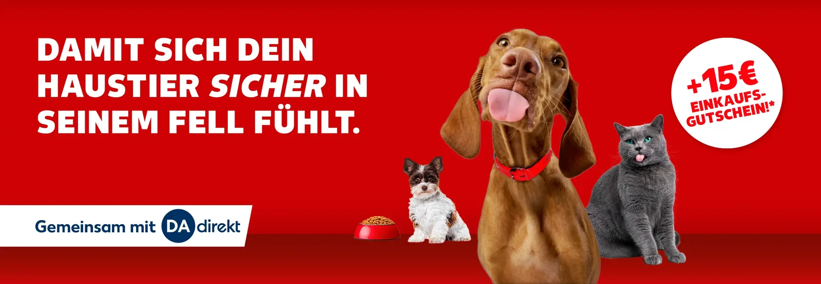 Tierkrankenversicherung. Zwei Hunde und eine Katze vor rotem Hintergrund