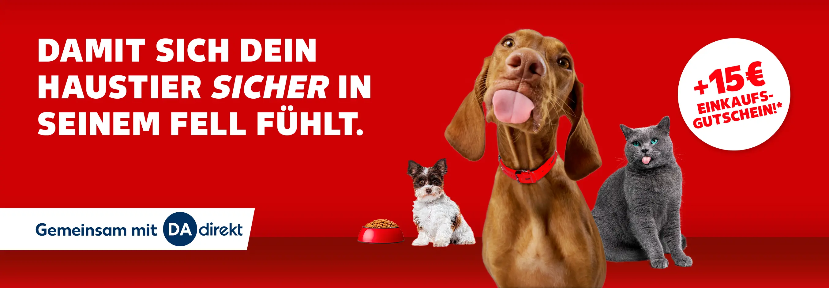 Tierkrankenversicherung. Zwei Hunde und eine Katze vor rotem Hintergrund